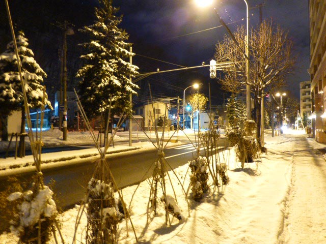 札幌、雪