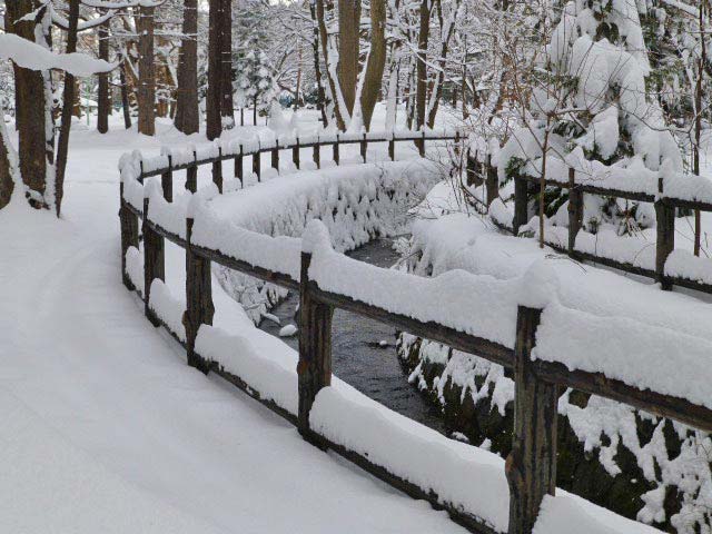 円山公園、雪