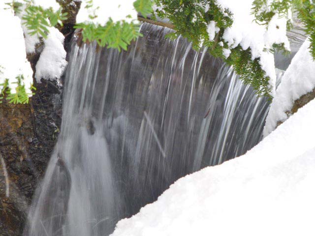 円山公園、雪