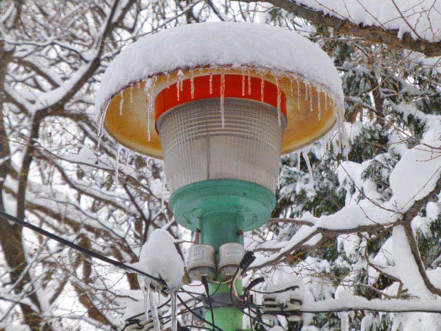 円山公園、雪