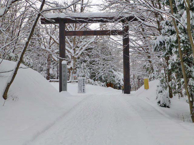 円山公園、雪