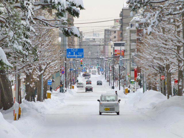 円山公園、雪