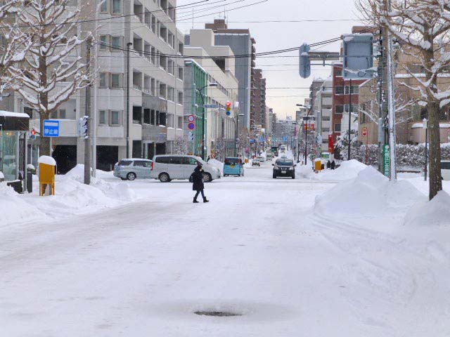 円山公園、雪