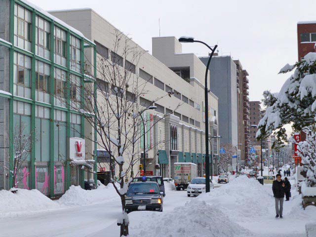 円山公園、雪