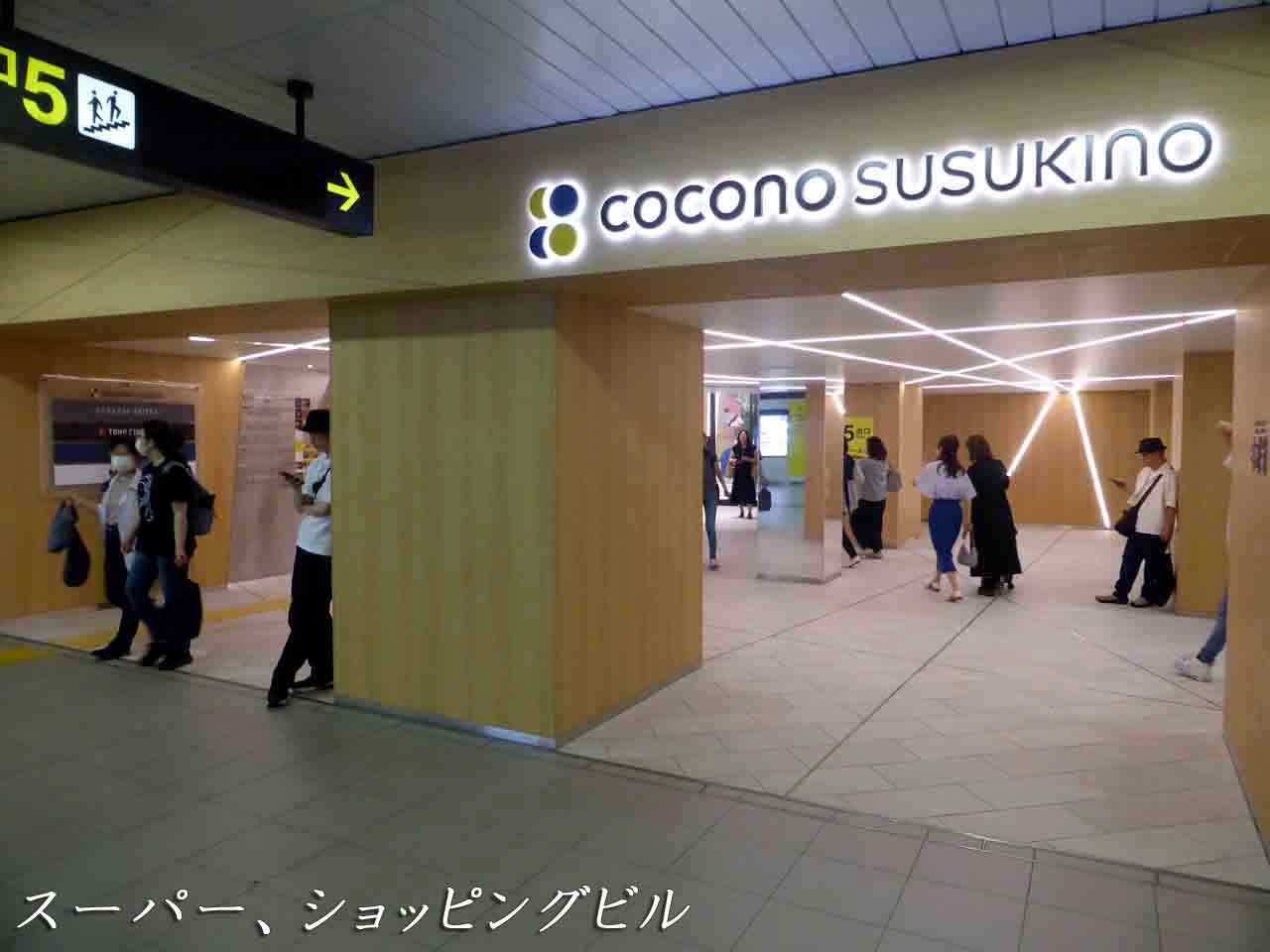 COCONO SUSUKINO