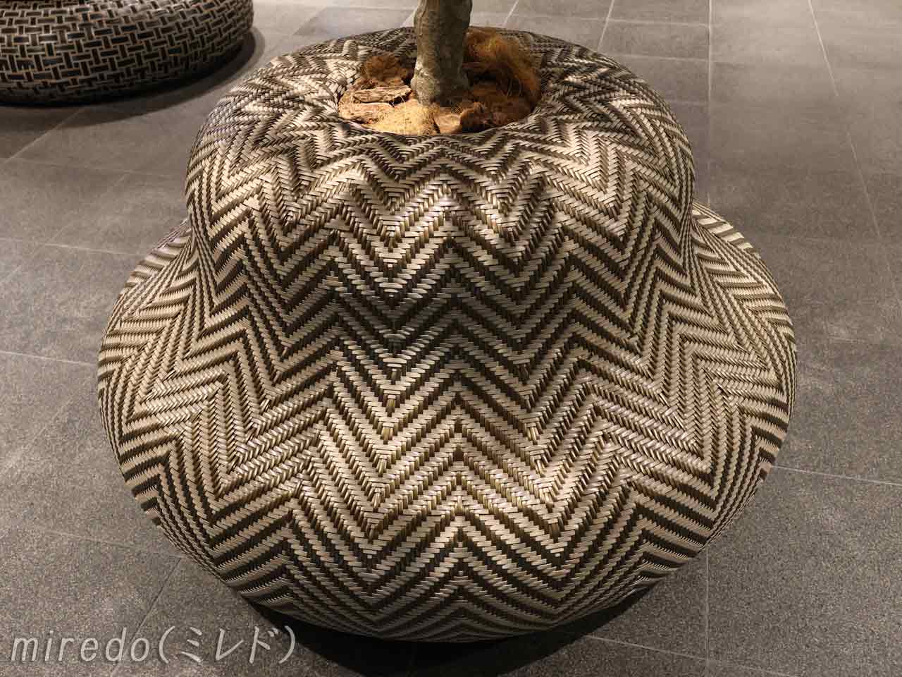 miredo、マングローブのようなオブジェ(1)