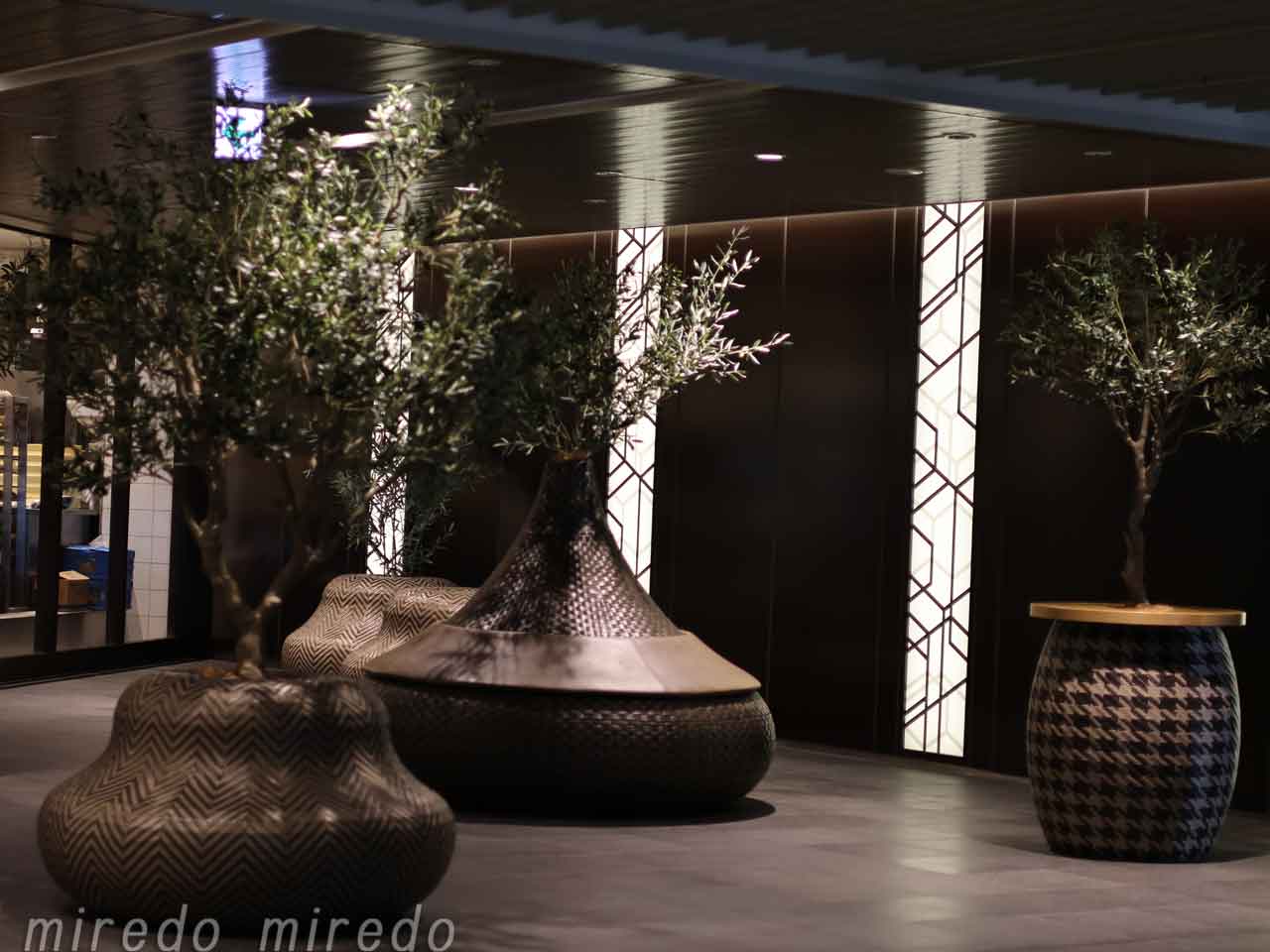 miredo、マングローブのようなオブジェ(2)