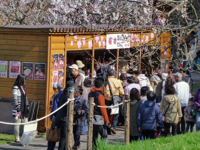 平岡公園梅まつり