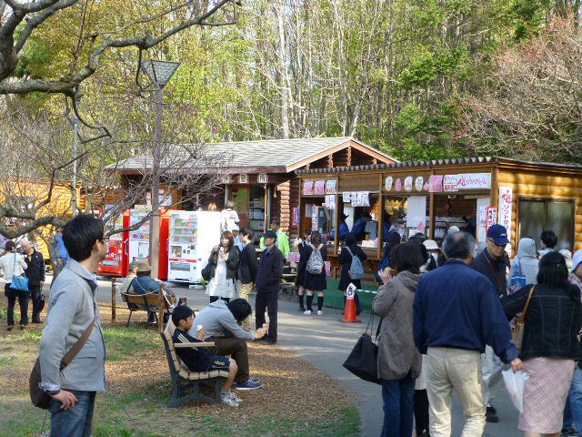 平岡公園梅まつり