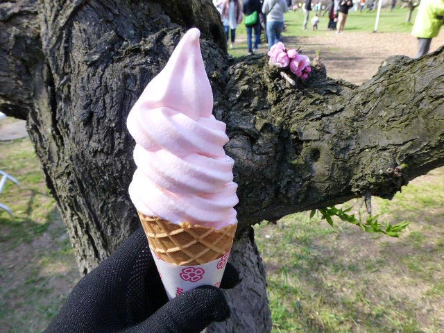 平岡公園梅まつり