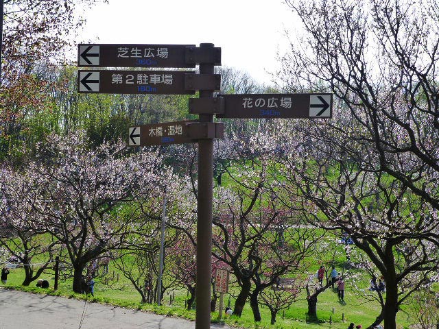 平岡公園梅まつり