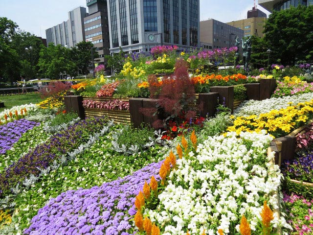 花フェスタ札幌、花壇コンクール