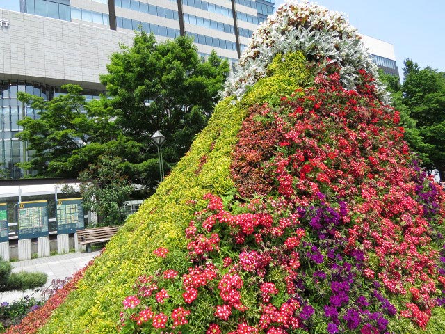 花フェスタ札幌、花壇コンクール