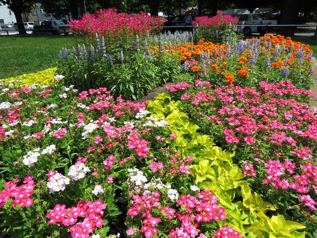 花フェスタ札幌、花壇コンクール