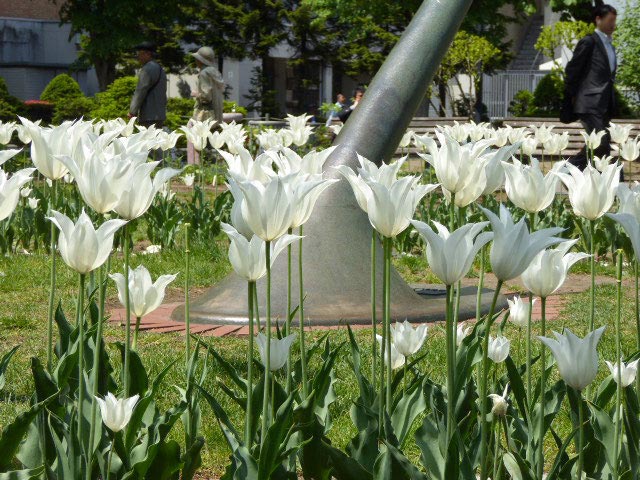 大通公園と花