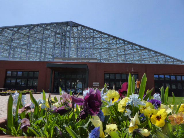 いわみざわ公園色彩館