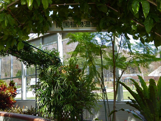 いわみざわ公園色彩館、南国植物温室