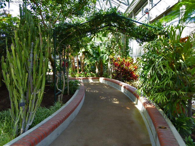 いわみざわ公園色彩館、南国植物温室