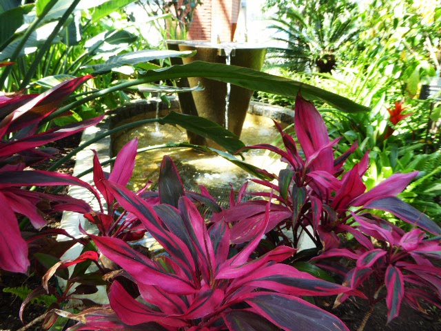 いわみざわ公園色彩館、南国植物温室