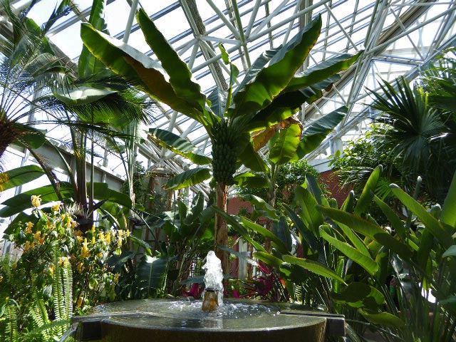 いわみざわ公園色彩館、南国植物温室