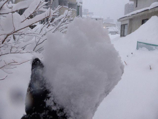 さっぽろ雪景色