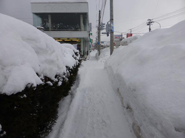 さっぽろ雪景色