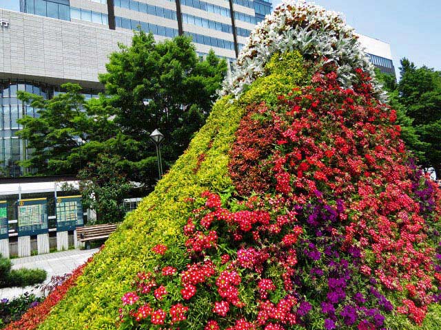 大通公園、花壇