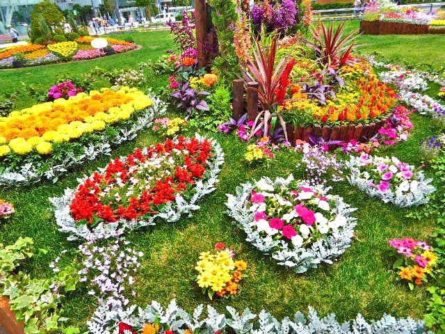 大通公園、花壇