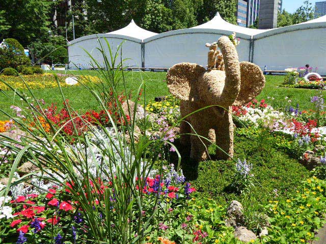 大通公園、花壇