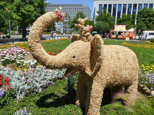 大通公園、花壇