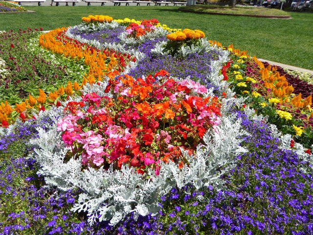 大通公園、花壇