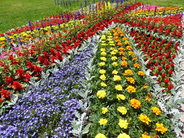 大通公園、花壇