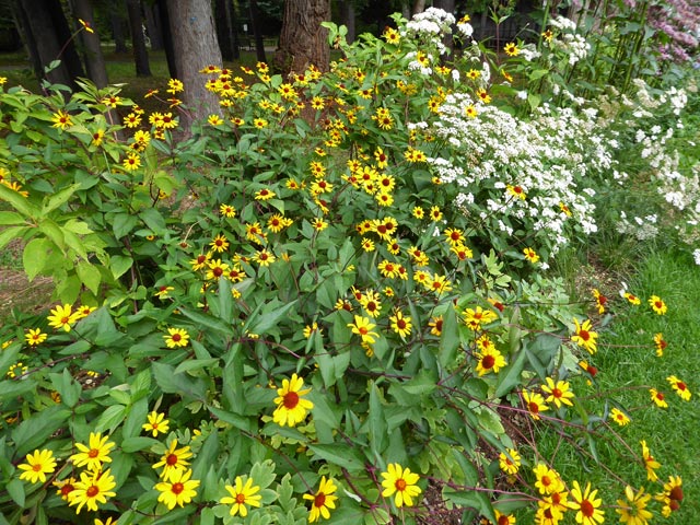 豊平公園緑のセンター