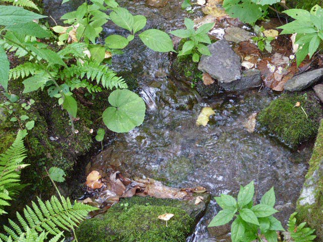 札幌芸術の森・野外美術館