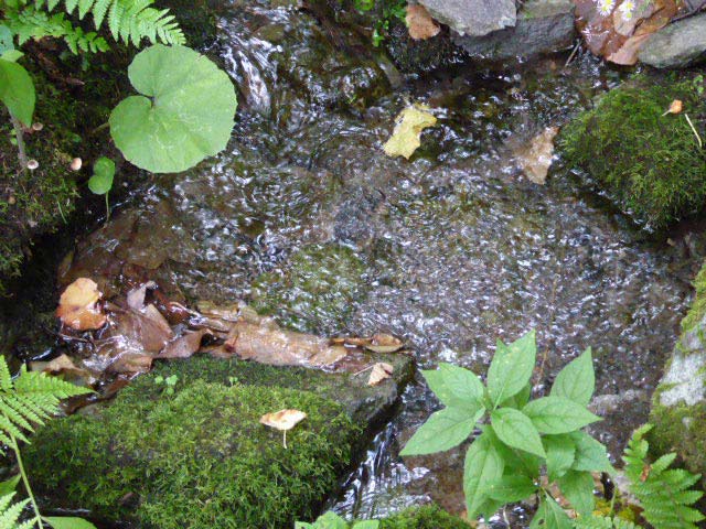 札幌芸術の森・野外美術館