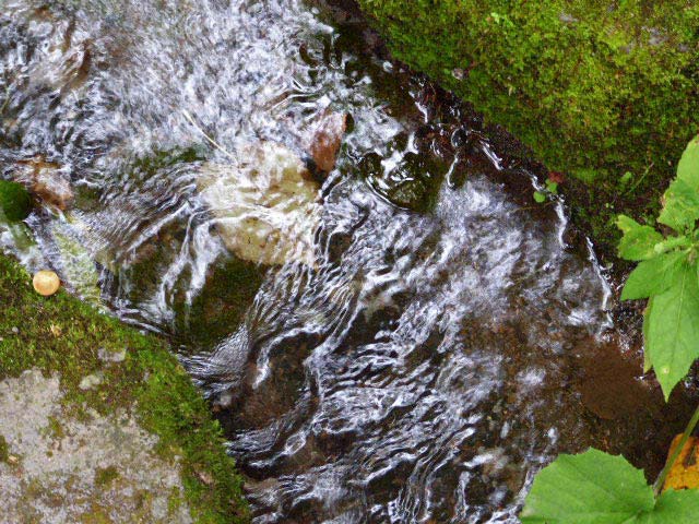 札幌芸術の森・野外美術館