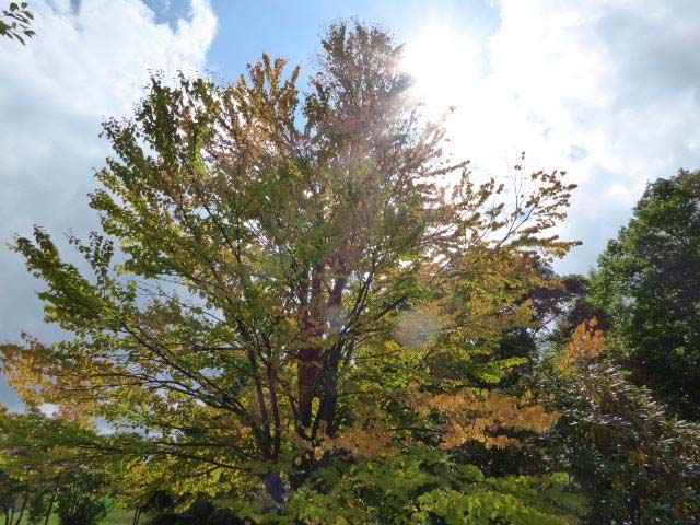 札幌芸術の森・野外美術館