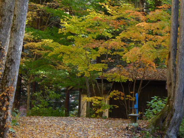 滝野すずらん公園渓流口紅葉