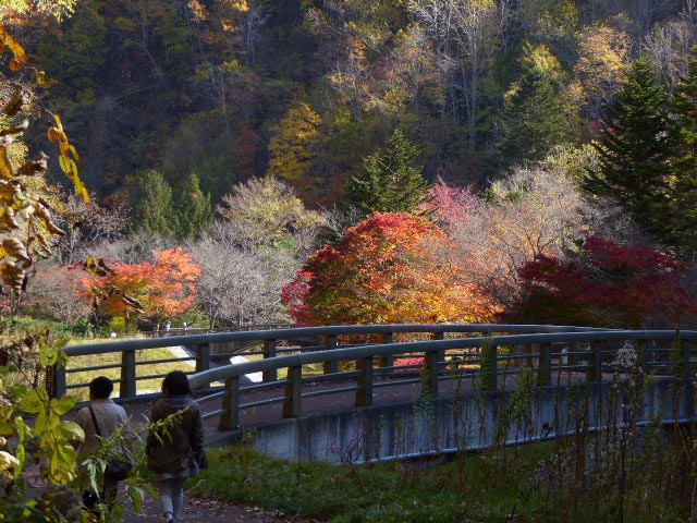 滝野すずらん公園渓流口紅葉