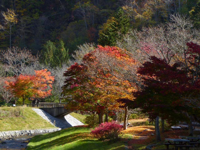 滝野すずらん公園渓流口紅葉