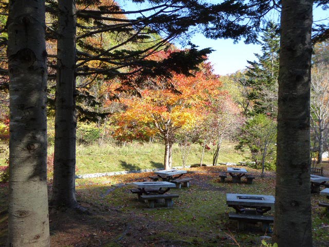 滝野すずらん公園渓流口紅葉