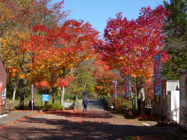 滝野すずらん公園渓流口紅葉