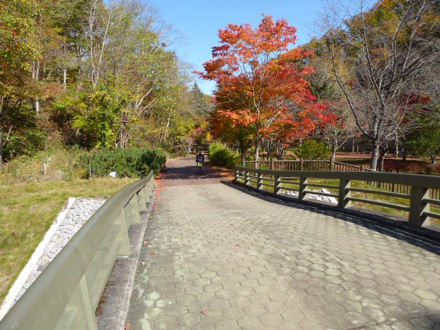 滝野すずらん公園渓流口紅葉