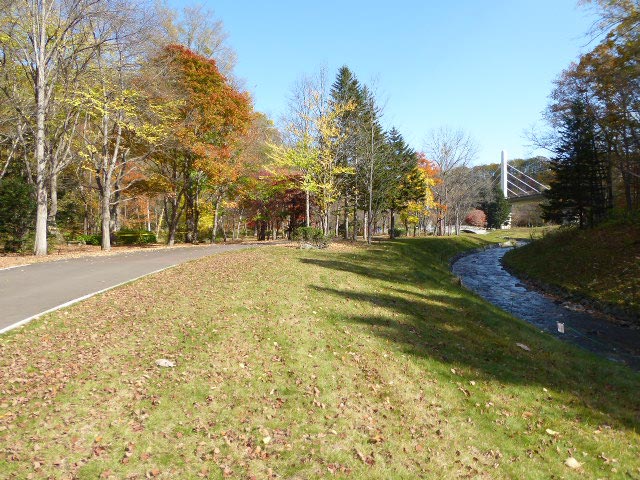 滝野すずらん公園渓流口紅葉