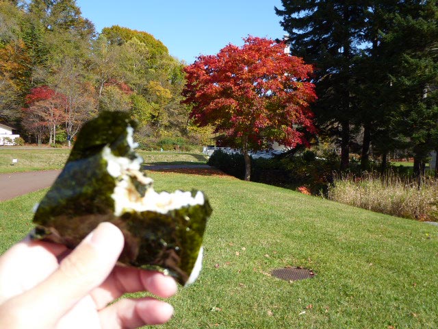 滝野すずらん公園渓流口紅葉