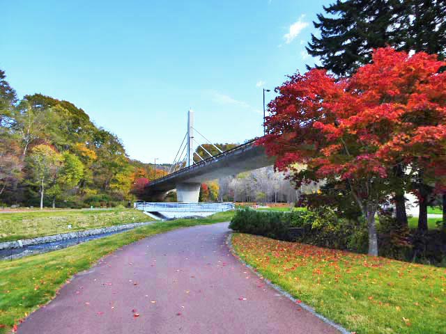 滝野すずらん公園渓流口紅葉