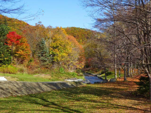 滝野すずらん公園渓流口紅葉