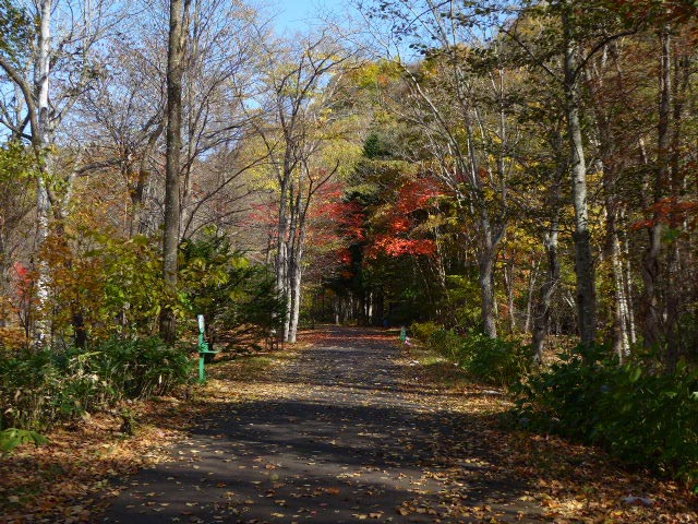 滝野すずらん公園渓流口紅葉