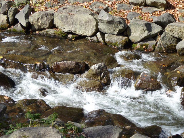 滝野すずらん公園渓流口紅葉