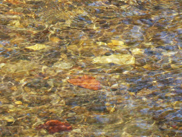 滝野すずらん公園渓流口紅葉